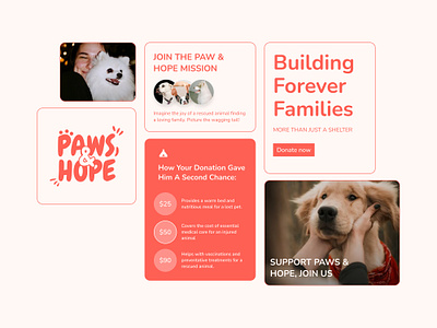 Paws & Hope Dog Shelter - Branding / UI kit branding design dog figma graphic design illustration logo motion graphics orange shelter ui ui ux website website design