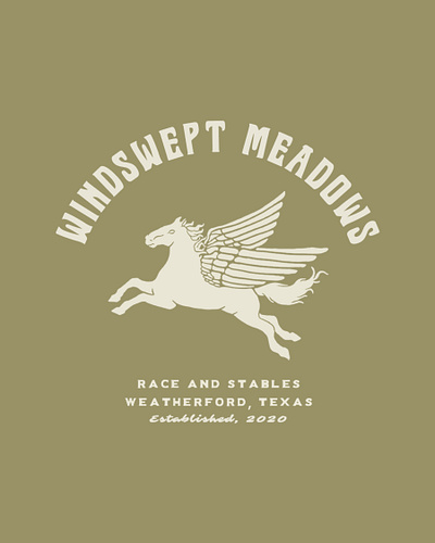 Windswept Meadows Illustration branding design graphic design illustration