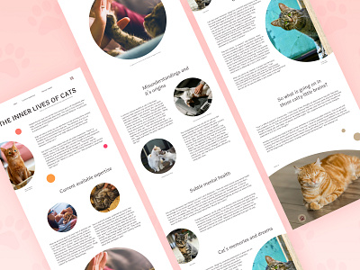 Longread | The inner lives of cats cats longread ui web design