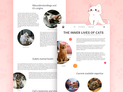 Longread | The inner lives of cats cats longread ui web design