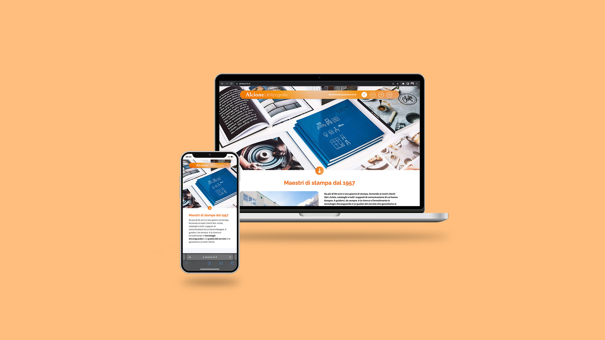 Example of Alcione website