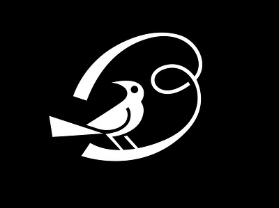 BIRDS - B b bird birds branding design graphic design icon identity illustration letter lettering logo marks monogram symbol type typography ui