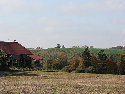 Rural Canada barn country landscape rural