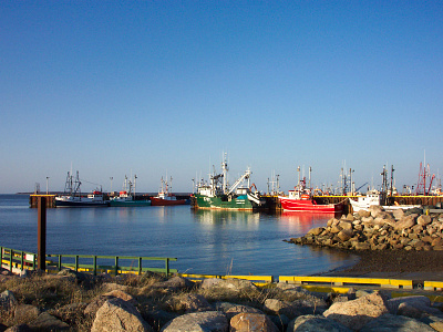 Tracadie New Brunswick acadian canada east coast fishing boats marina new brunswick tourist attractions tracadie trawlers