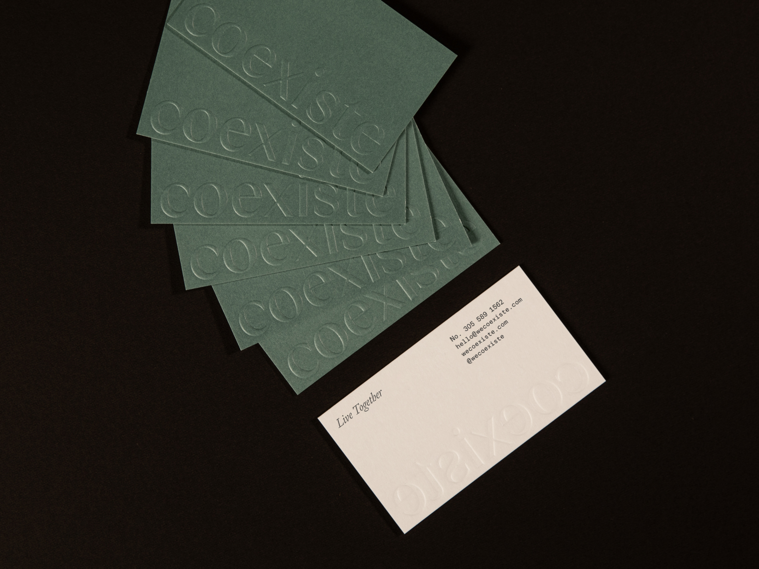 Coexiste Business Card branding business card collateral design identity logo typography