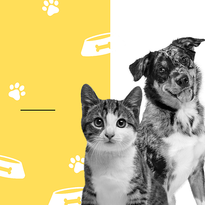 Pet Day editable template animation pet pet day
