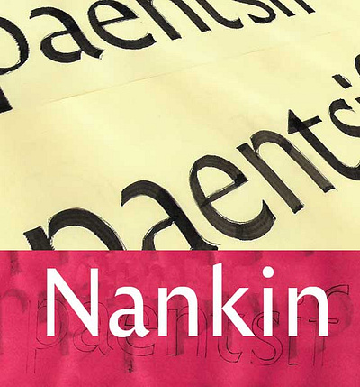 Nankin type design typography