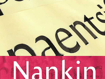 Nankin type design typography