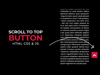 Scroll To Top Button using HTML CSS JS back to top button codingflicks css css3 frontend html html css html5 scroll to top button