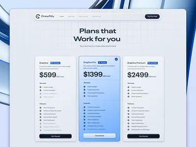 Crewfitly Website Design Pricing Page Light Mode branding design interface product service startup ui ux web website