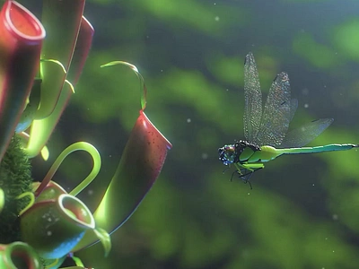 Carnivorous planet A 3d after effects animation c4d carnivorous plants cgi cinema 4d compositing dragonfly environment green insects lighting minimal nature peace plants tiktok vfx