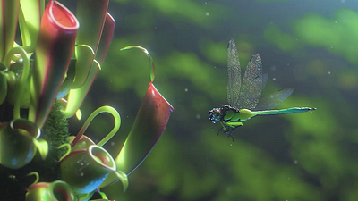 Carnivorous planet A 3d after effects animation c4d carnivorous plants cgi cinema 4d compositing dragonfly environment green insects lighting minimal nature peace plants tiktok vfx