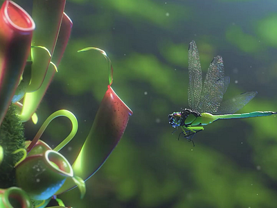 Carnivorous planet A 3d after effects animation c4d carnivorous plants cgi cinema 4d compositing dragonfly environment green insects lighting minimal nature peace plants tiktok vfx