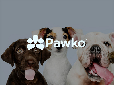 PAWKO animal brand identity brand identity design branding design dog graphic design icon logo logo design logo identity minimal logo visual identity visual identity design