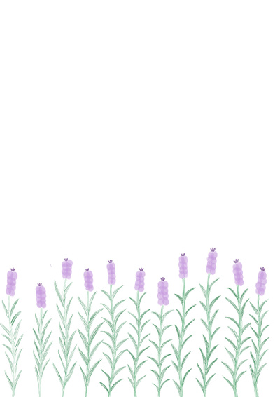 Lavender Fields design fresco graphic design haiku art illustration lavender flowers