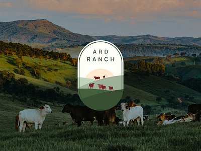 Ard ranch - logo design branding business card illustration logo
