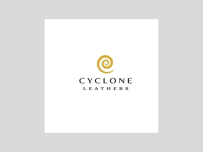 Cyclone logo logo