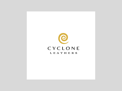Cyclone logo logo