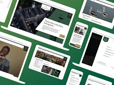 William & Mary Website 2020 college education higher ed school university virginia website william mary williamsburg wren