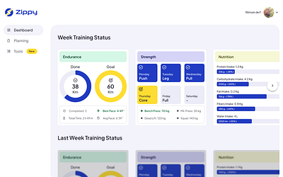 Zippy - Web App Dashboard bi dashboard data analitics figma high fidelity information architecture product design ui ui design user experience user interface ux web aplication