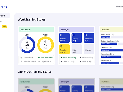 Zippy - Web App Dashboard bi dashboard data analitics figma high fidelity information architecture product design ui ui design user experience user interface ux web aplication