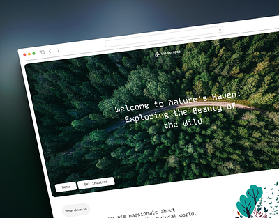 Wildscapes Landing Page landing page ui website