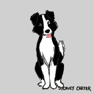 Dog Digital Illustration animal dog illustration