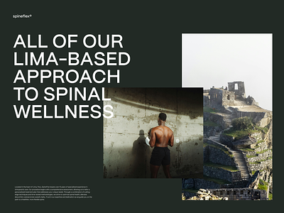 Spineflex® art branding web design wellness