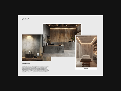 Spineflex® brand book branding interior design ui