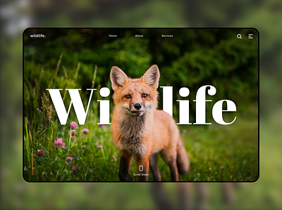 Wildlife - Landing Page creativedesign graphic design landing page ui wildlife