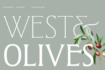 West and Olives (6 fonts + variable) classic font fashion font feminine font feminine logo font girlboss minimal font retro font typeface wedding font