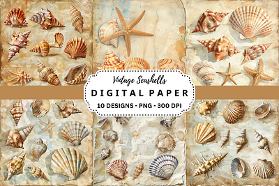 Vintage Seashells Digital Paper branding graphic design vintage seashells watercolor