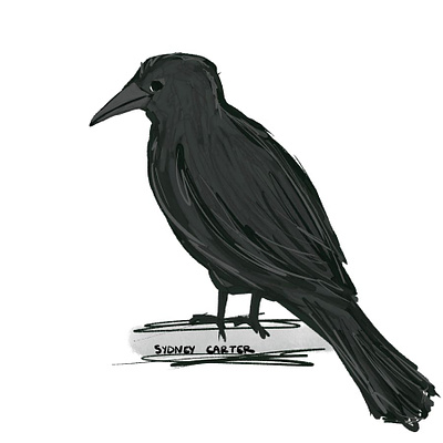 Crow Illustration animals bird character crow illustration procreate