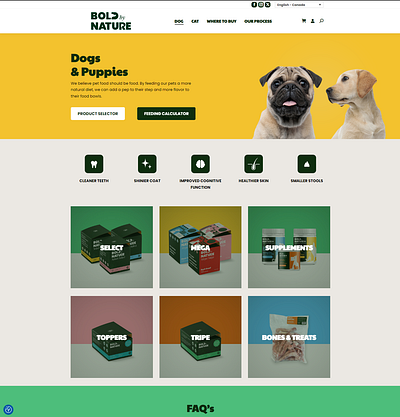 Bold by Nature - Website Redesign Concept web design website