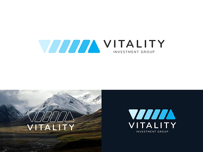 Vitality Investment Group art direction brand brand development logo logo design