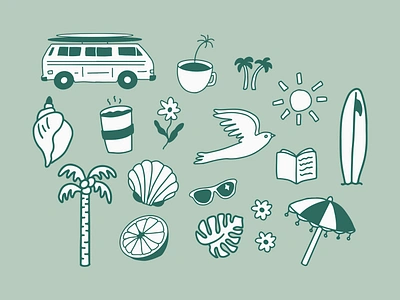 Summer Illustrations beach branding california coffee color design florida graphic design illustration illustrator palm trees plants san diego seashell shell summer summertime sun surf surf board