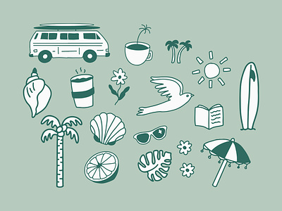 Summer Illustrations beach branding california coffee color design florida graphic design illustration illustrator palm trees plants san diego seashell shell summer summertime sun surf surf board