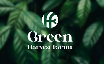 Farms Brand Identity Design | Logo Design | Pixolusion brandidentity branding brandingagency brandingdesign brandingdesigner farm farmbrandidentity farmbranding farmlogo farmlogodesign graphic design logo logodesigns packingdesign pixolusion