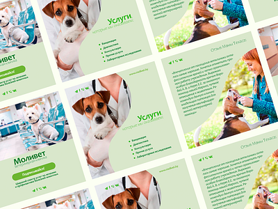 Ветеринарная клиника branding design graphic design instagram posts vector ветеринарная клиника