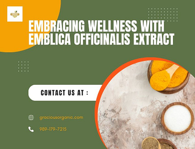 Embracing Wellness with Emblica Officinalis Extract emblica officinalis extract