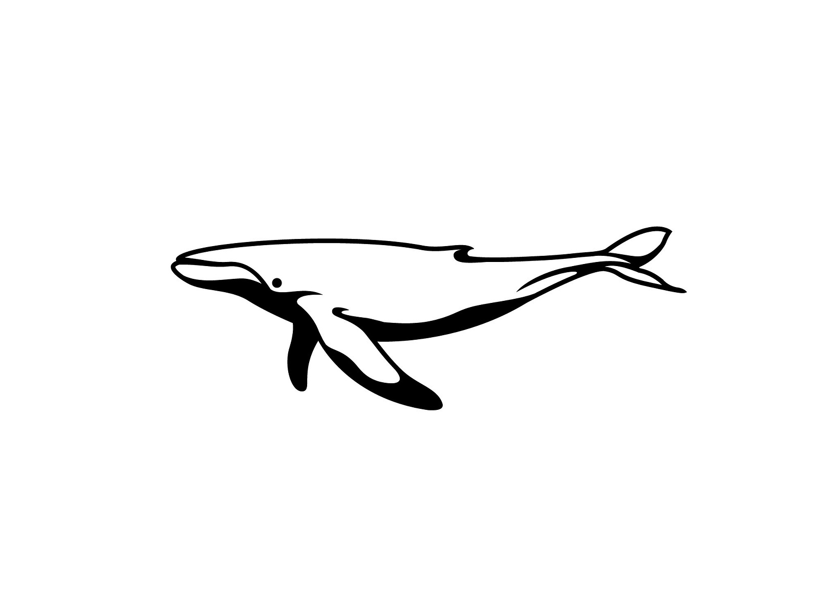 whale-by-asmaa-belal-on-dribbble