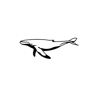 Whale branding calligrapgy design graphic design illustration logo typography