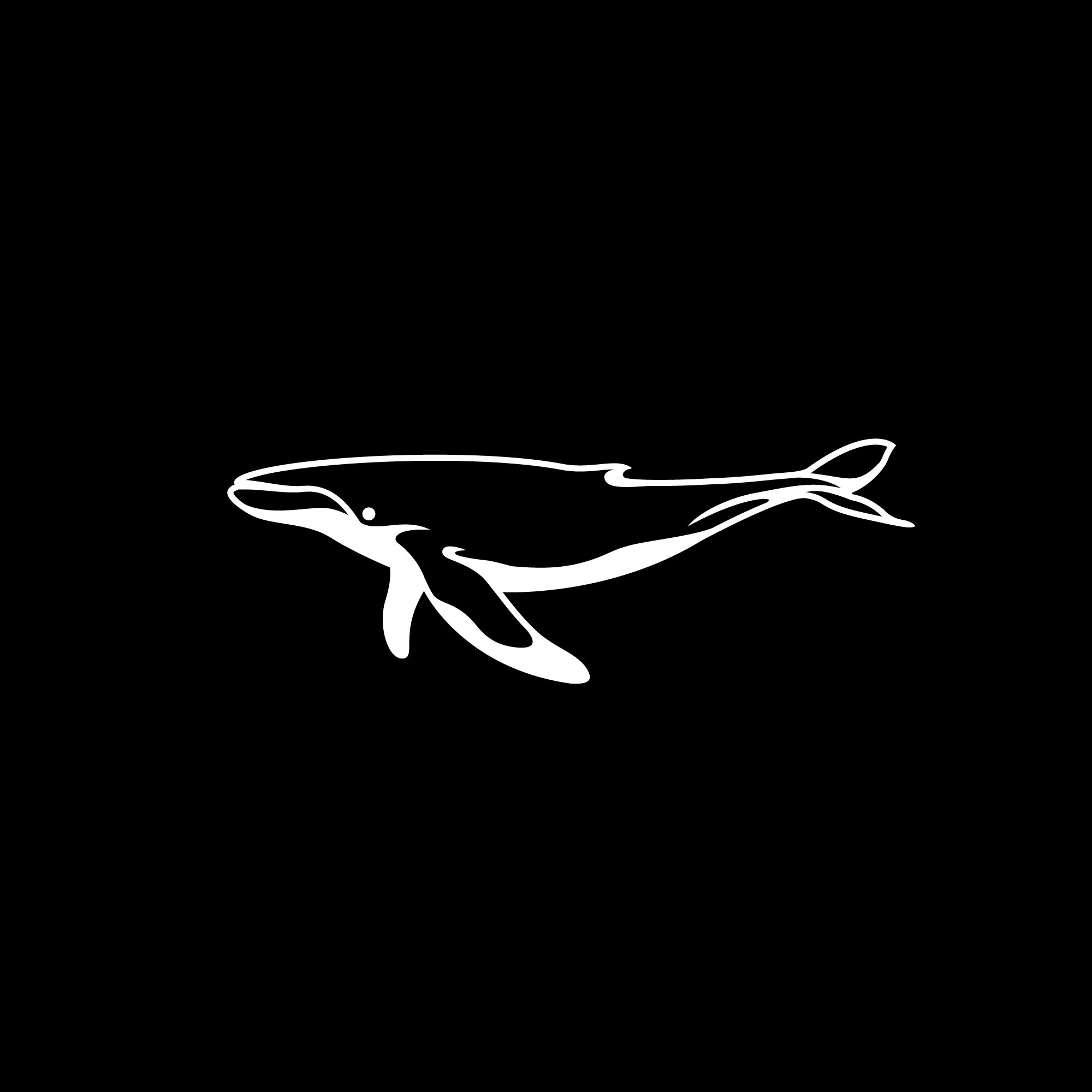 whale-by-asmaa-belal-on-dribbble