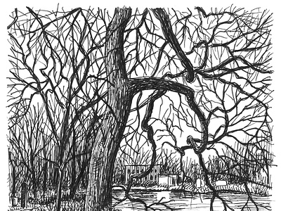 Cemetery Pond art artist artwork drawing hand drawn illustration ink landscape nature tree