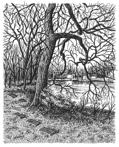Cemetery Pond art artist artwork drawing hand drawn illustration ink landscape nature tree