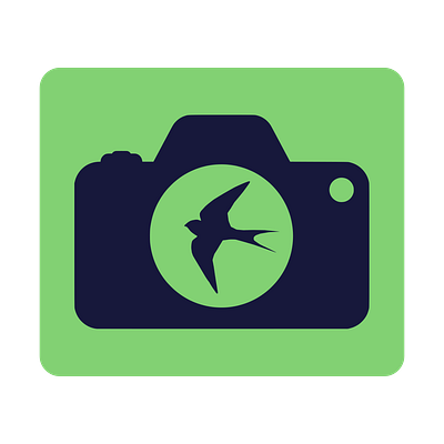 DAILYUI #005/ FlashFlap animal graphic design app app icon bird bird logo branding dailyui dailyui 005 graphic design illustration logo ui vector design