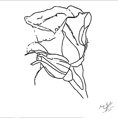 Flower sketch drawing