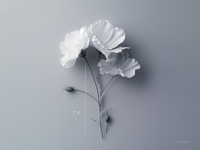 3D flower illustration for Milkinside 3d ai branding c4d calm flower generative graphic design meditation procedural simple tp