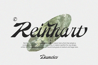 Reinhart Script calligraphy procreate modern font modern script modern script font typeface
