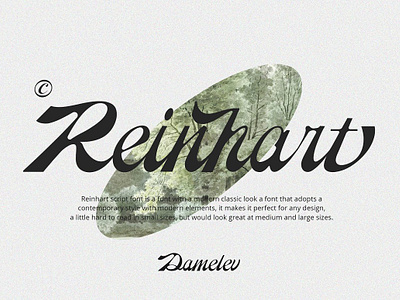 Reinhart Script calligraphy procreate modern font modern script modern script font typeface